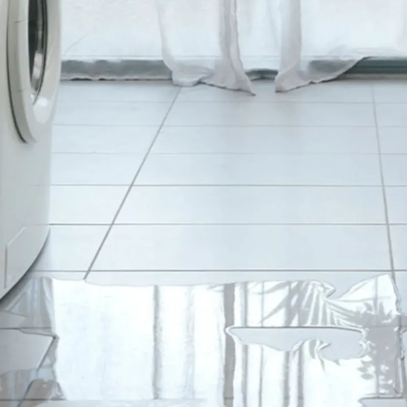 Appliance Leak Cleanup in Leisuretowne, NJ