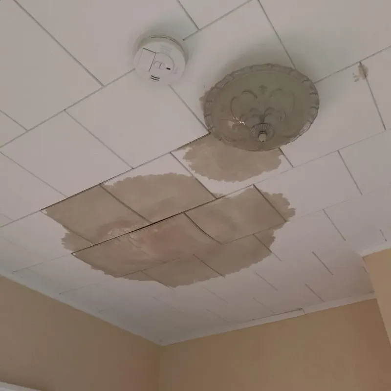 Ceiling Water Damage Repair in Leisuretowne, NJ